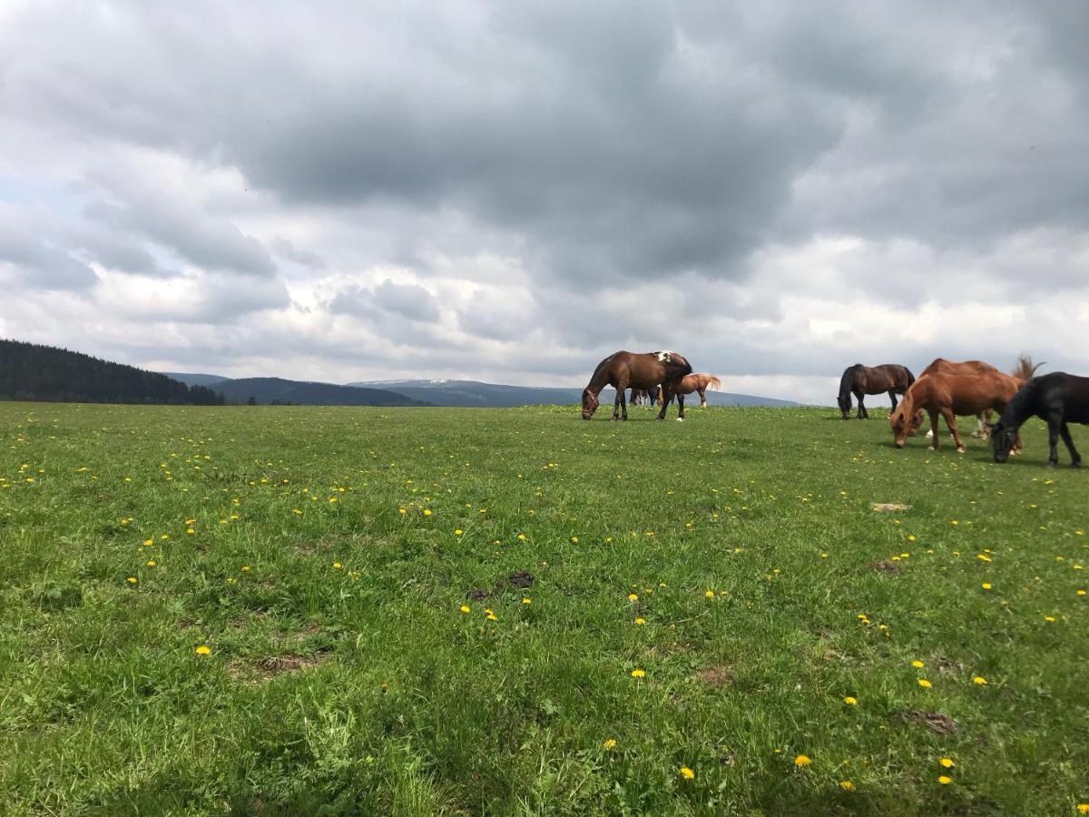 Knezicka Chalupa Vrchlabí Buitenkant foto